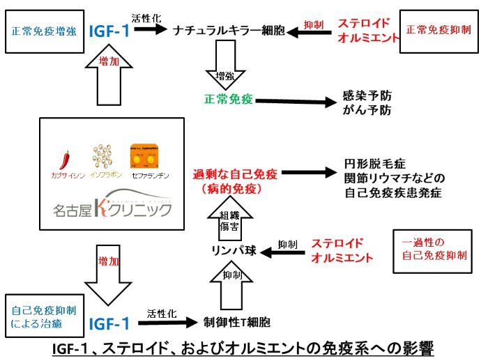 円形脱毛症　病院